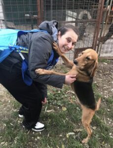 Salvati sei cani a Livorno, costretti senza cibo e acqua