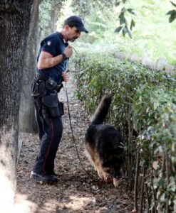 Addio Battman, morto il fantastico cane carabiniere antidroga