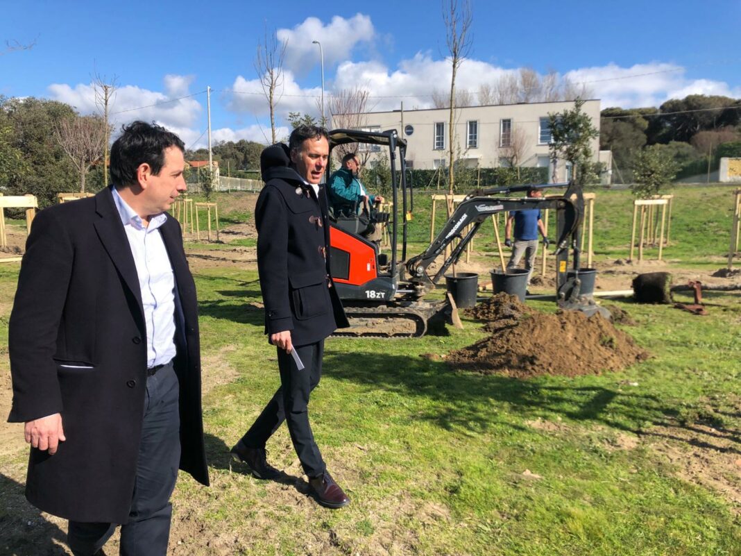 Verde urbano a Pisa, 535 nuovi alberi nelle scuole