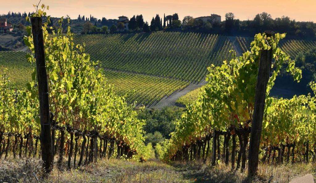 Agricoltura sostenibile e comunità: nasce il Distretto Terre Apuane