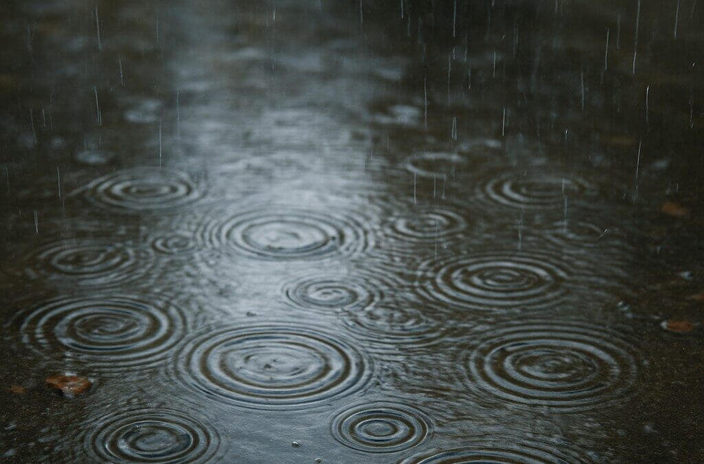 La guida per affrontare un temporale: cosa fare e cosa evitare